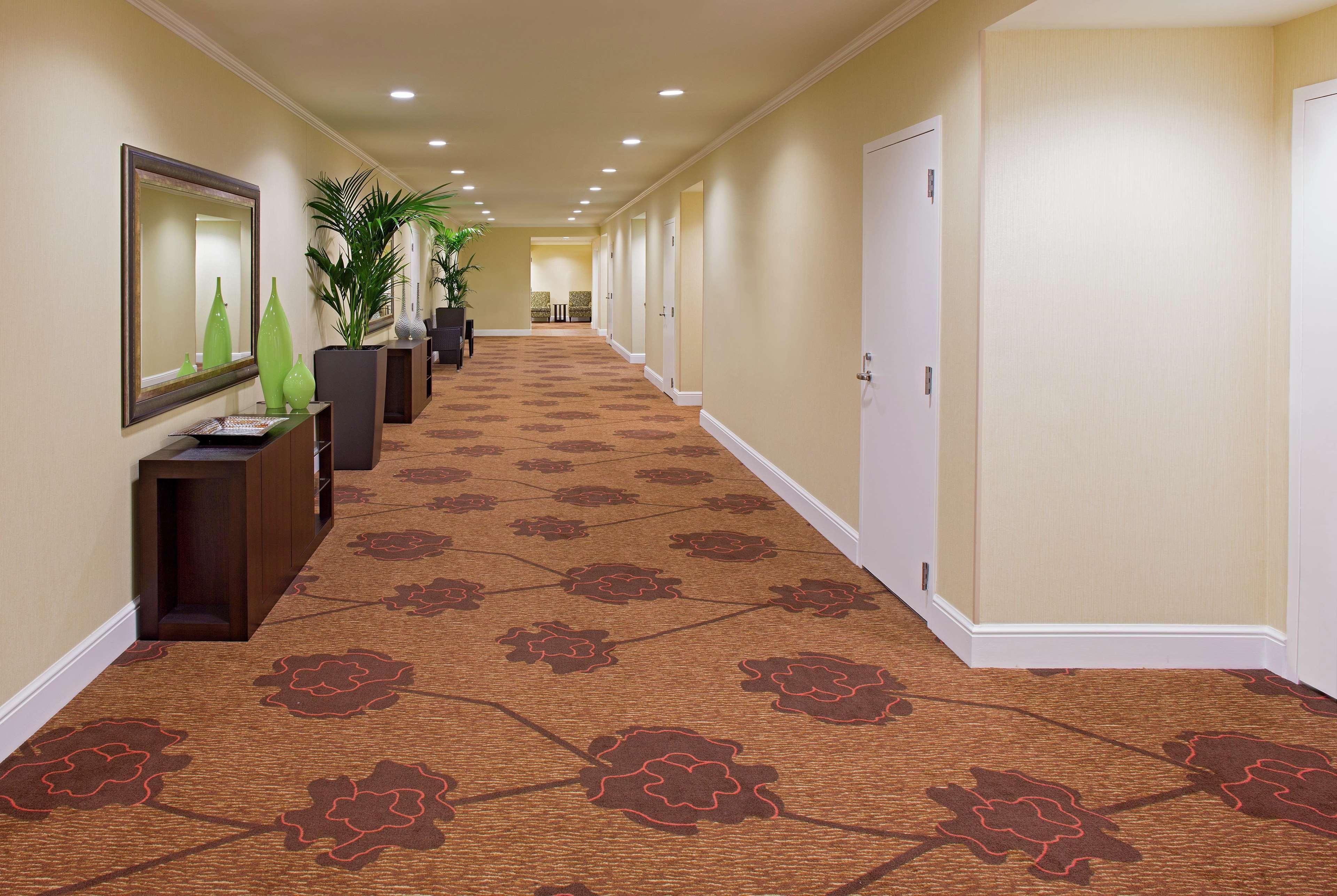 Hilton Garden Inn New Orleans French Quarter/Cbd Buitenkant foto
